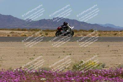 media/Mar-12-2023-SoCal Trackdays (Sun) [[d4c8249724]]/Turn 15 Inside Bloom (130pm)/